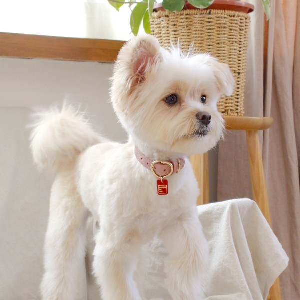 페오펫몰,[댕보양특가] 하트 펜던트 목줄 로즈 핑크