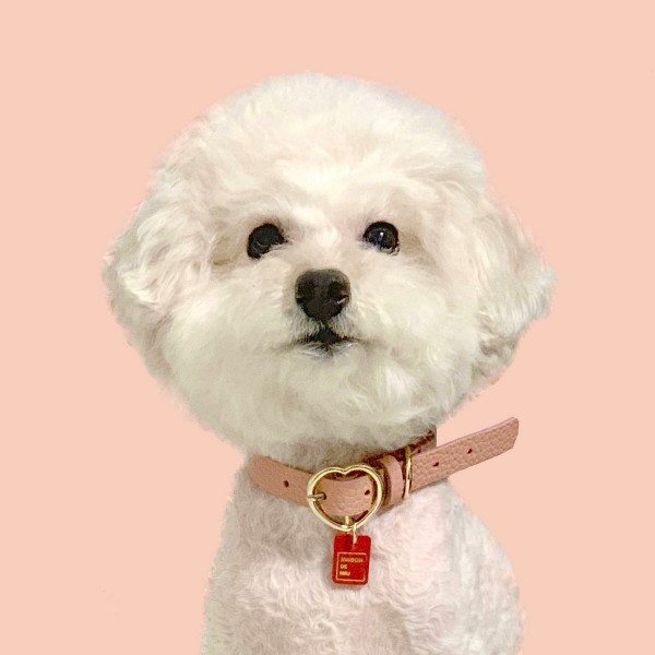 페오펫몰,[댕보양특가] 하트 펜던트 목줄 로즈 핑크