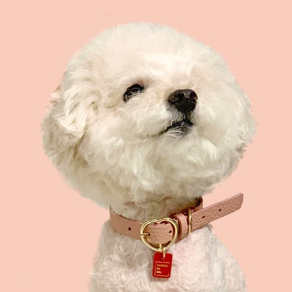 페오펫몰,[댕보양특가] 하트 펜던트 목줄 로즈 핑크