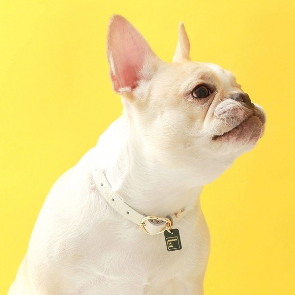 페오펫몰,[댕보양특가] 하트 펜던트 목줄 화이트