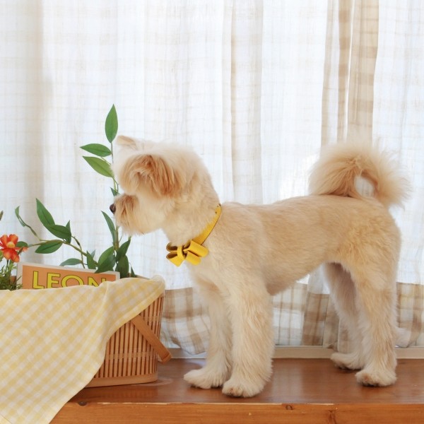 페오펫몰,소프트 리본 목줄 옐로우