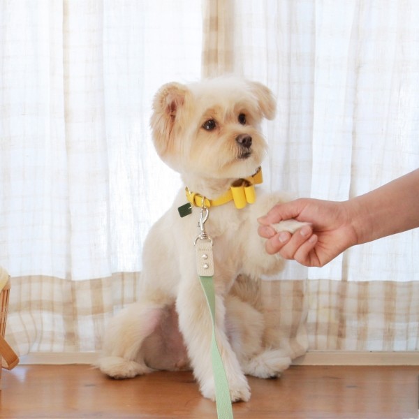 페오펫몰,소프트 리본 목줄 옐로우