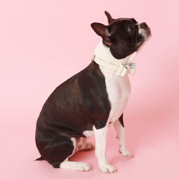 페오펫몰,소프트 리본 목줄 화이트