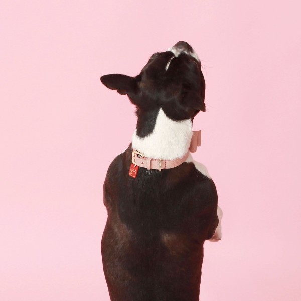 페오펫몰,소프트 리본 목줄 로즈 핑크