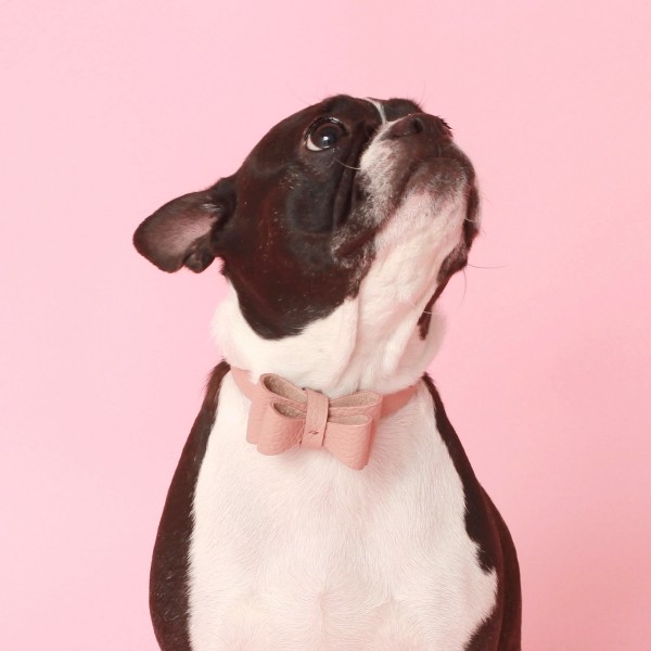 페오펫몰,소프트 리본 목줄 로즈 핑크