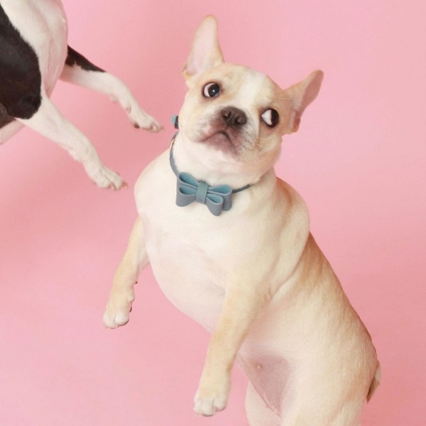 페오펫몰,소프트 리본 목줄 인디안 블루