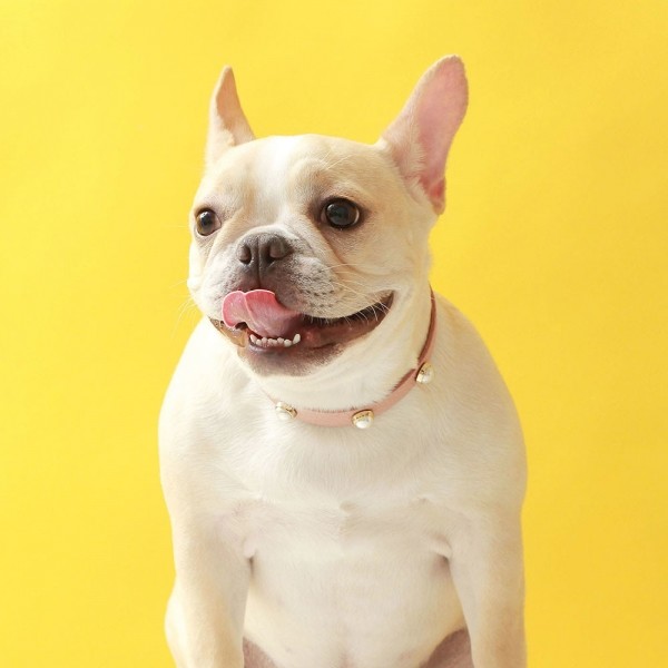 페오펫몰,소프트 진주 목줄 로즈 핑크