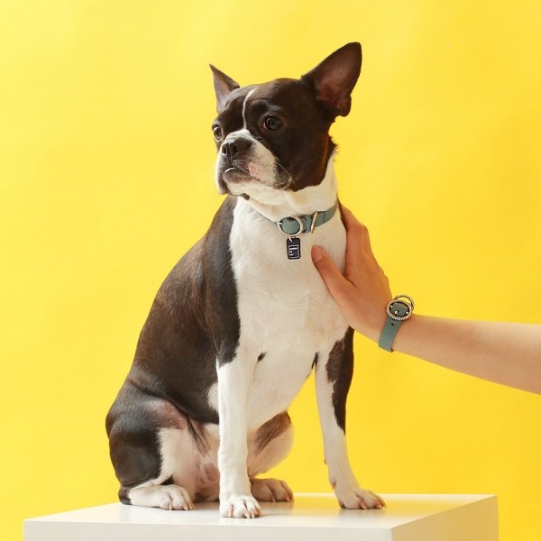 페오펫몰,트위스트 라운드 목줄 위드 유 인디안 블루