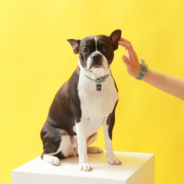 페오펫몰,트위스트 라운드 목줄 위드 유 인디안 블루