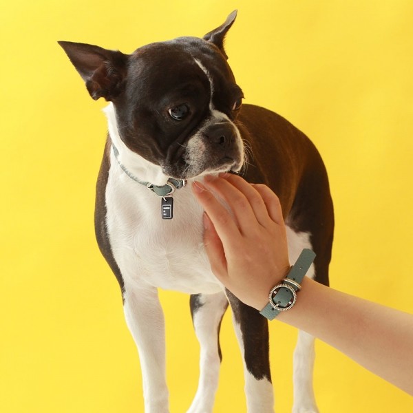 페오펫몰,트위스트 라운드 목줄 위드 유 인디안 블루