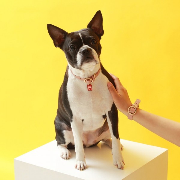 페오펫몰,트위스트 라운드 목줄 위드 유 로즈 핑크