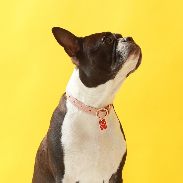 페오펫몰,트위스트 라운드 목줄 위드 유 로즈 핑크