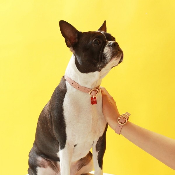 페오펫몰,트위스트 라운드 목줄 위드 유 로즈 핑크