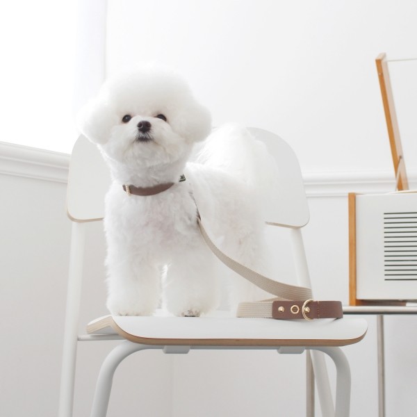 페오펫몰,[댕보양특가] 러닝 메이트 레더&웨빙 리드줄 브라운