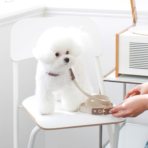 페오펫몰,[댕보양특가] 러닝 메이트 레더&웨빙 리드줄 브라운