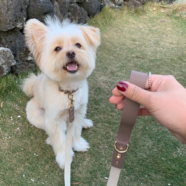 페오펫몰,[댕보양특가] 러닝 메이트 레더&웨빙 리드줄 브라운