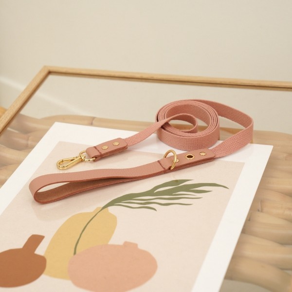 페오펫몰,[댕보양특가] 러닝 메이트 레더&웨빙 리드줄 로즈핑크