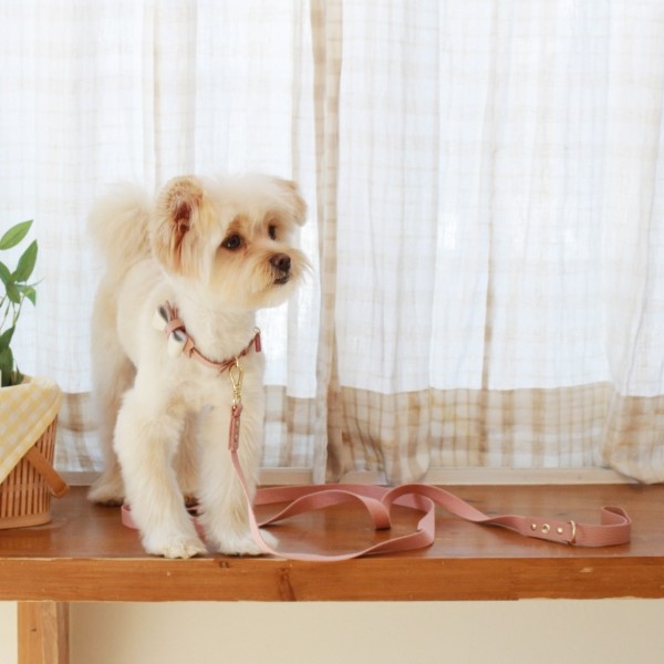 페오펫몰,[댕보양특가] 러닝 메이트 레더&웨빙 리드줄 로즈핑크