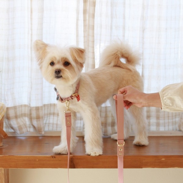 페오펫몰,[댕보양특가] 러닝 메이트 레더&웨빙 리드줄 로즈핑크