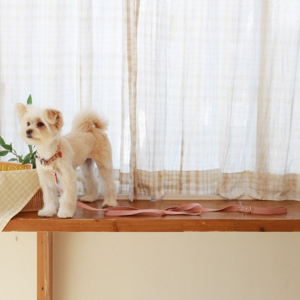 페오펫몰,[댕보양특가] 러닝 메이트 레더&웨빙 리드줄 로즈핑크