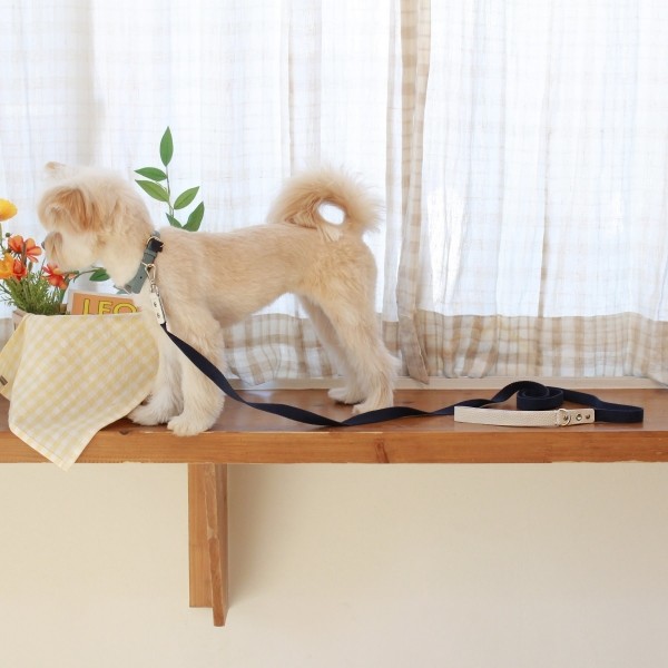 페오펫몰,[댕보양특가] 러닝 메이트 레더&웨빙 리드줄 화이트/네이비