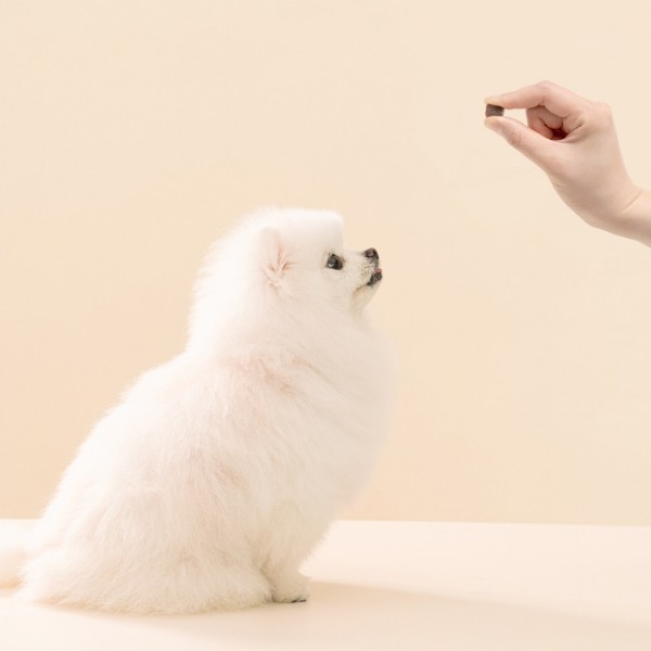 페오펫몰,펫테일 럽앤힐 대용량 강아지 간식 한입행복 소고기 큐브 져키 1kg