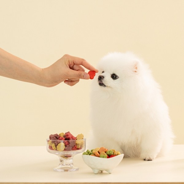 페오펫몰,펫테일 럽앤힐 강아지 수제 간식 비건 바이츠 야채 과일 저알러지 간식