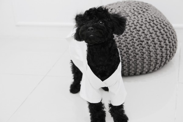 페오펫몰,[maum:e] 호텔 커플 나이트 가운