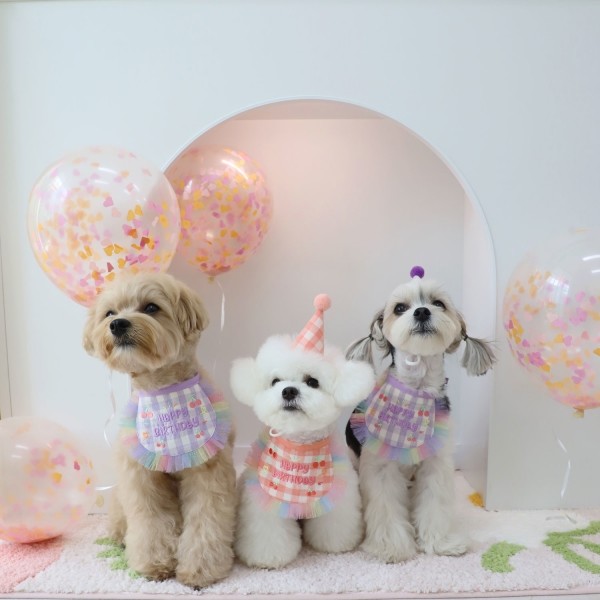 페오펫몰,몽앤치크 체리 벌스데이 set(빕+고깔모자)