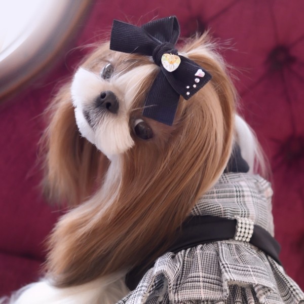 페오펫몰,[마망독] 빅코듀로이 핸드메이드 리본핀 7color