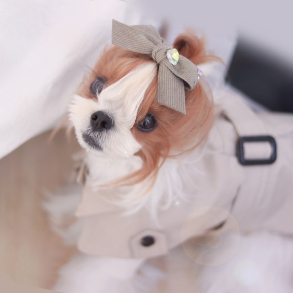 페오펫몰,[마망독] 빅코듀로이 핸드메이드 리본핀 7color