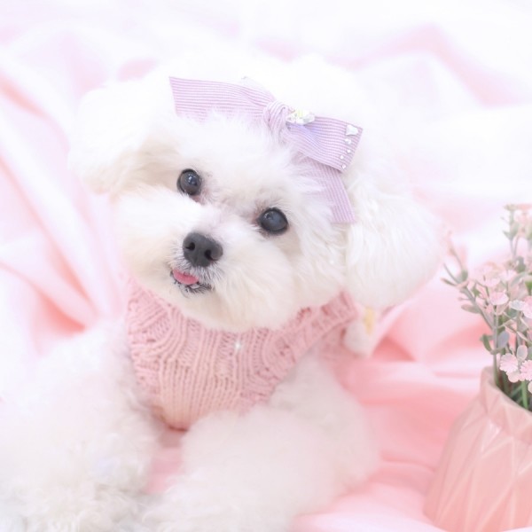 페오펫몰,[마망독] 빅코듀로이 핸드메이드 리본핀 7color