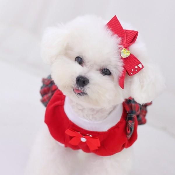 페오펫몰,[마망독] 빅코듀로이 핸드메이드 리본핀 7color