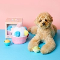 [펫토리아]펫토리아 강아지 장난감 왕구슬 아이스크림