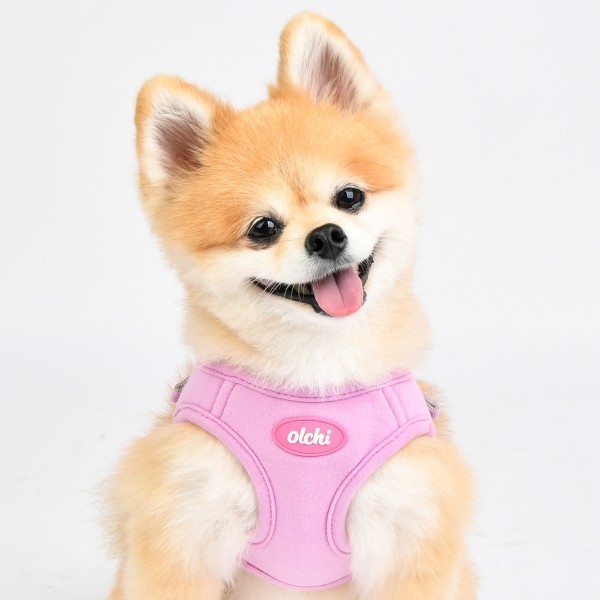 페오펫몰,#초보견주#쉬운길이조정 올치 강아지 산책용 마카롱 하네스/리드줄