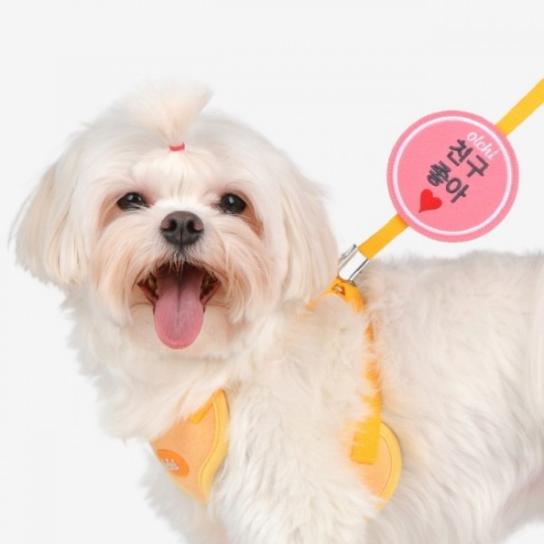 페오펫몰,올치 강아지 산책용품 산책패치 산책와펜(OAWD-PA6520)