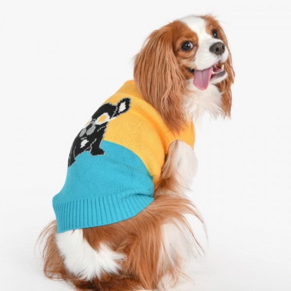 페오펫몰,[무럭무럭특가]퍼피아 프렌치 불독 니트(TS2055)