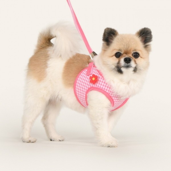 페오펫몰,올치 강아지 가슴줄 펫비츠 하네스 2종