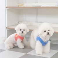 #초보견주#쉬운길이조정 올치 강아지 산책용 매직 하네스/리드줄
