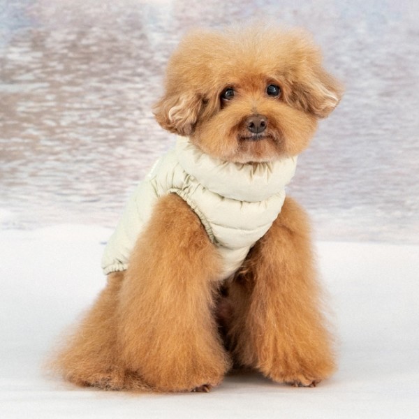 #신상특가 퍼피아 가볍고 따뜻한 하네스 일체형 코튼 캔디 경량 패딩 조끼 2종