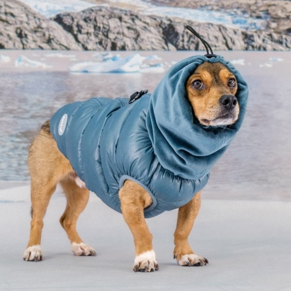 페오펫몰,#신상특가 퍼피아 글래셔 스누드 푸퍼 일체형 경량 패딩조끼 2종