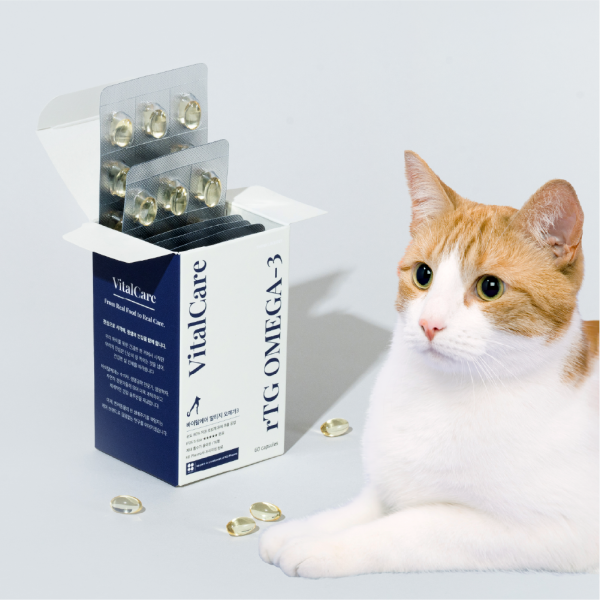 페오펫몰,씽크라이크펫 순도80% KD파마 강아지 오메가3 250mg 60캡슐 피부 관절 영양제 바이탈케어 알티지