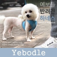 [댕린이특가] 예보들 큰강아지 하네스 말티즈 닥스훈트 웰시코기하네스