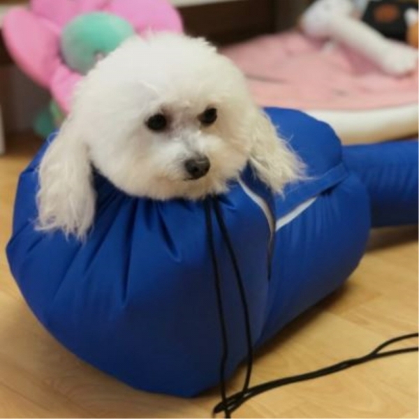 페오펫몰,[따스한특가] 예보들 펫 드라이룸 강아지룸 반려동물 건조기 고양이펫드라이룸 대형견드라이룸
