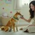 썸네일(스크롤)