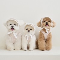 예보들 강아지모자 강아지썬캡 강아지여름모자