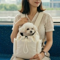 예보들 강아지이동가방 고양이이동장 강아지캐리어 고양이이동가방 강아지빽팩 고양이백팩 강아지이동장 고양이캐리어