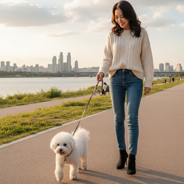 페오펫몰,[따스한특가] 예보들 시바견목걸이 강아지방울목걸이 강아지산책목줄 강아지악세사리 강아지인식표 반려동물산책 고양이방울목걸이