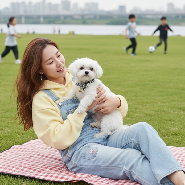 페오펫몰,[따스한특가] 예보들 시바견목걸이 강아지방울목걸이 강아지산책목줄 강아지악세사리 강아지인식표 반려동물산책 고양이방울목걸이