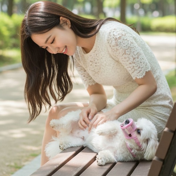 페오펫몰,예보들 강아지 투명입마개 짖음방지기 대형견입마개 소형견입마개